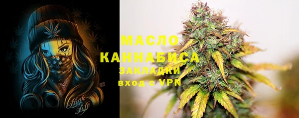 крисы Елабуга