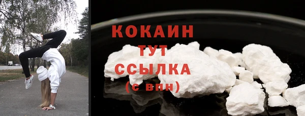 крисы Елабуга