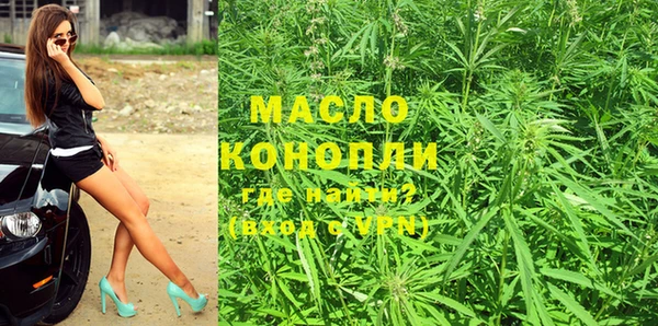 крисы Елабуга