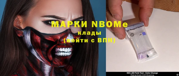 сатива Елизово