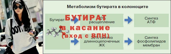 сатива Елизово