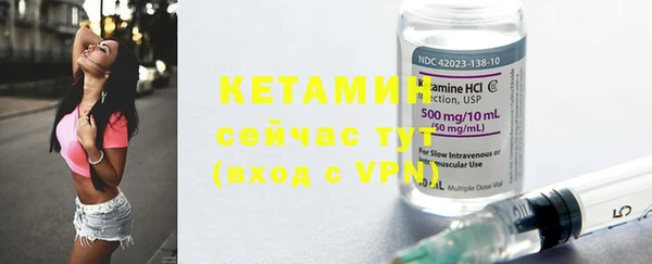 сатива Елизово