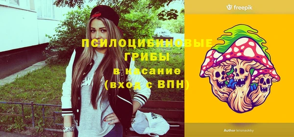 сатива Елизово