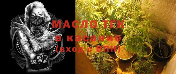 крисы Елабуга