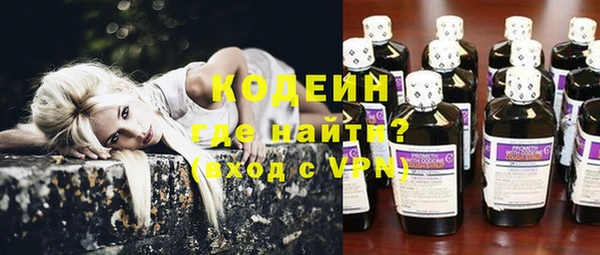 крисы Елабуга