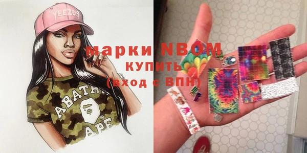 крисы Елабуга