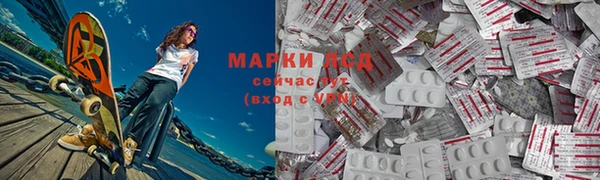 крисы Елабуга