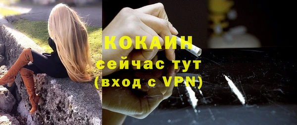 сатива Елизово