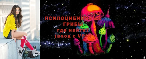 сатива Елизово