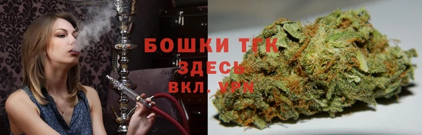 сатива Елизово